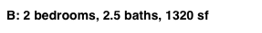 B: 2 bedrooms, 2.5 baths, 1320 sf